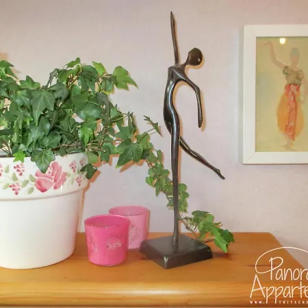 Panorama 아파트 람자우 암 다흐스타인