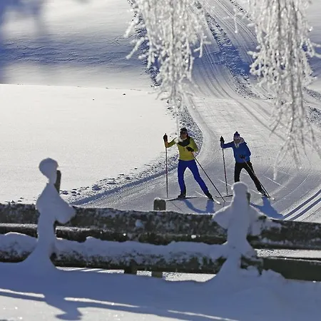 아파트 Panorama 람자우 암 다흐스타인