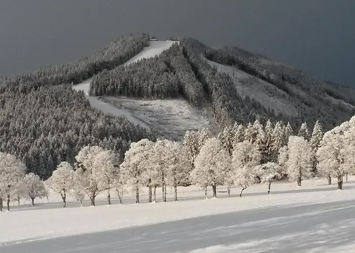 Apartamento Panorama *